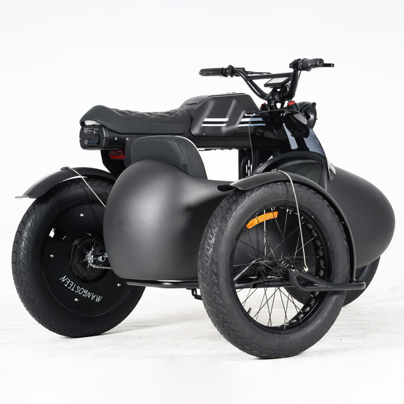 electric bike with sidecar